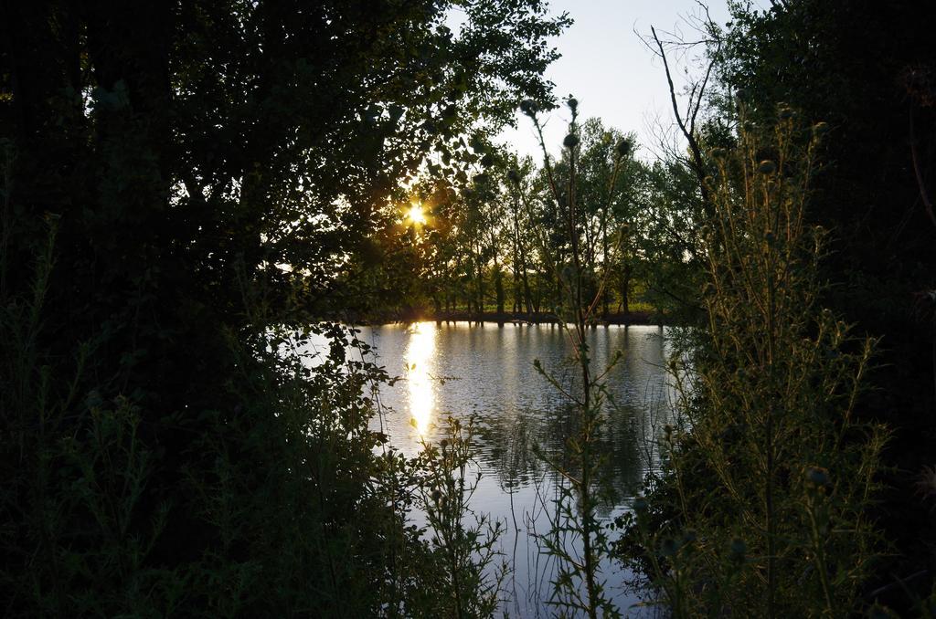 Agriturismo Scorgiano ภายนอก รูปภาพ