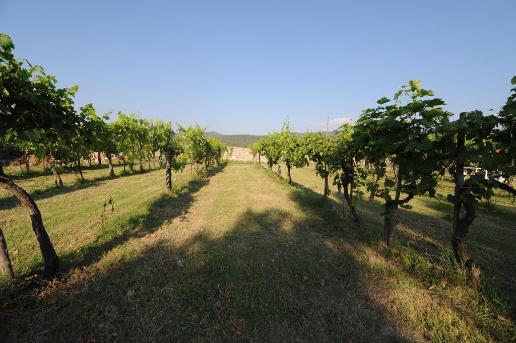 Agriturismo Scorgiano ภายนอก รูปภาพ